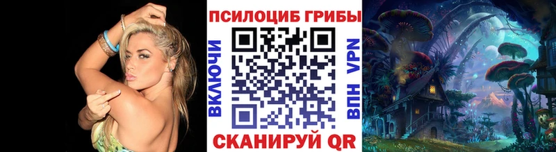 Галлюциногенные грибы Magic Shrooms  площадка состав  мега ONION  Болхов  как найти наркотики 